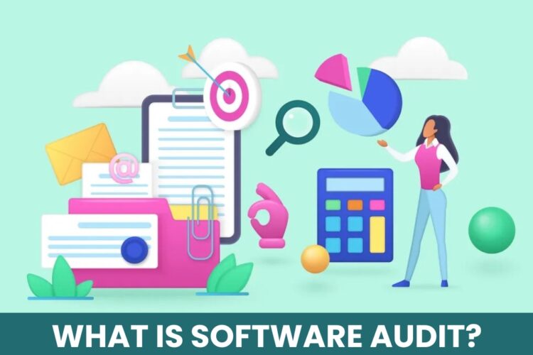 Software Audit
